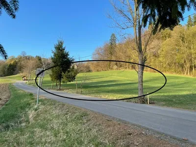 Haus kaufen in Südoststeiermark – 846 m² – Bild 4 von 11
