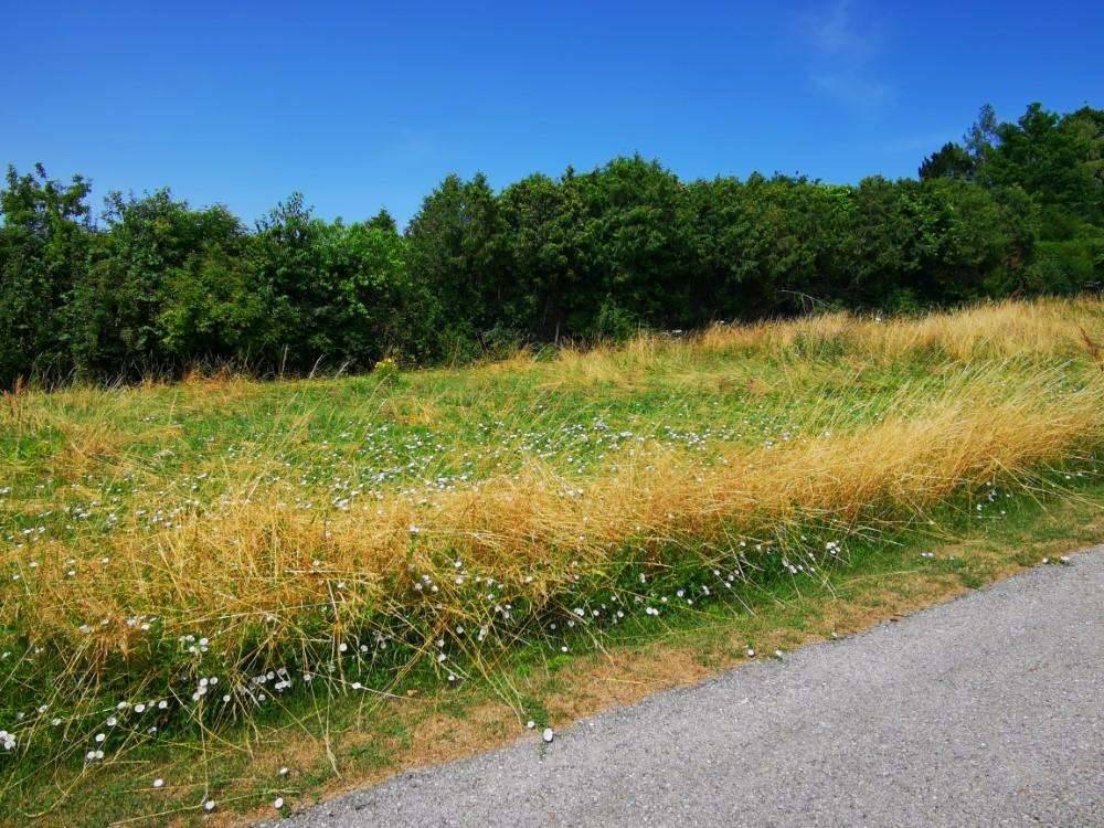 Eckgrundstück in Ortsrandlage 1.216 m² - Ansicht 2
