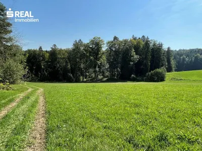 Grundstück kaufen in Voitsberg – 4 250 m², € 299.000 – Bild 3 von 4