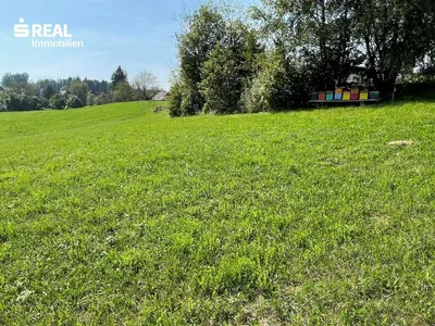 Grundstück kaufen in Voitsberg – 4 250 m², € 299.000 – Bild 4 von 4