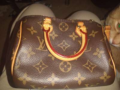 Louis Vuitton Eden Speedy Printemps ete 2010, € 1.550,- (9020 Klagenfurt) -  willhaben