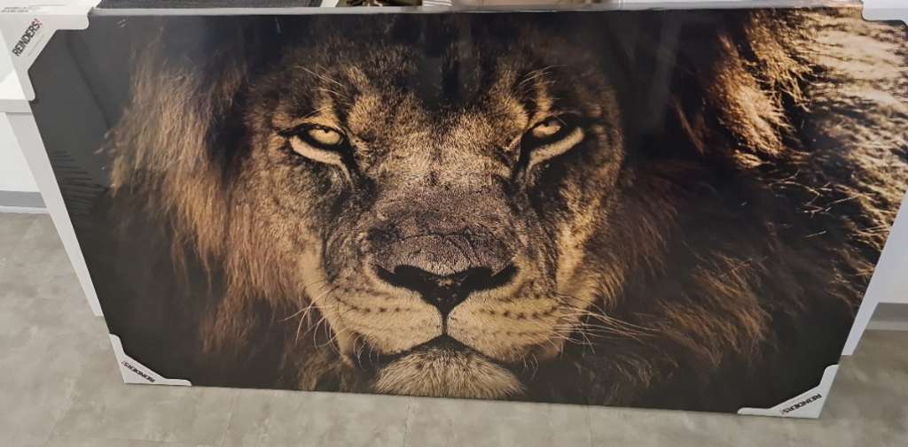 Wandbild dark lion, € 40,- (4061 Pasching) - willhaben