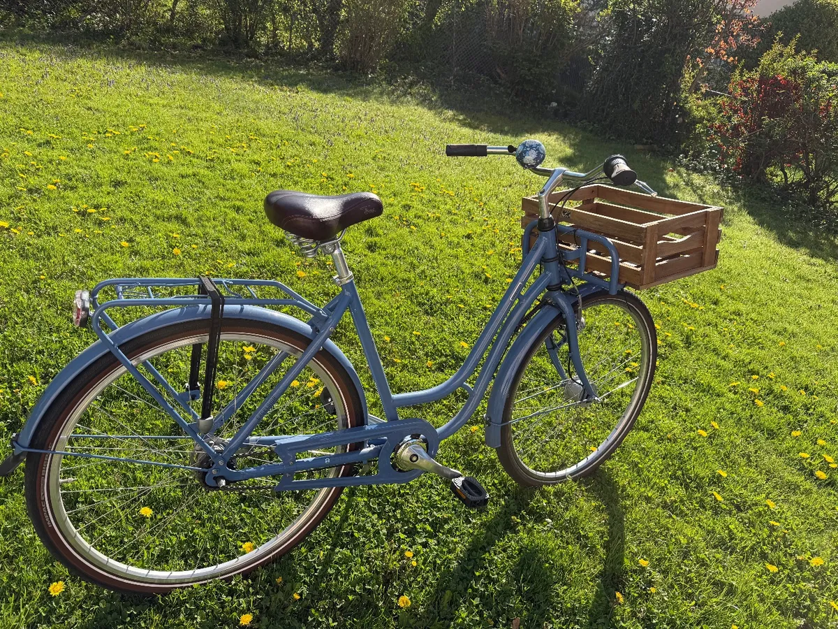 fahrrad box kaufen Fahrrad Bike Box Fahrradgarage. Modell B1 XL mit Giebeldach
