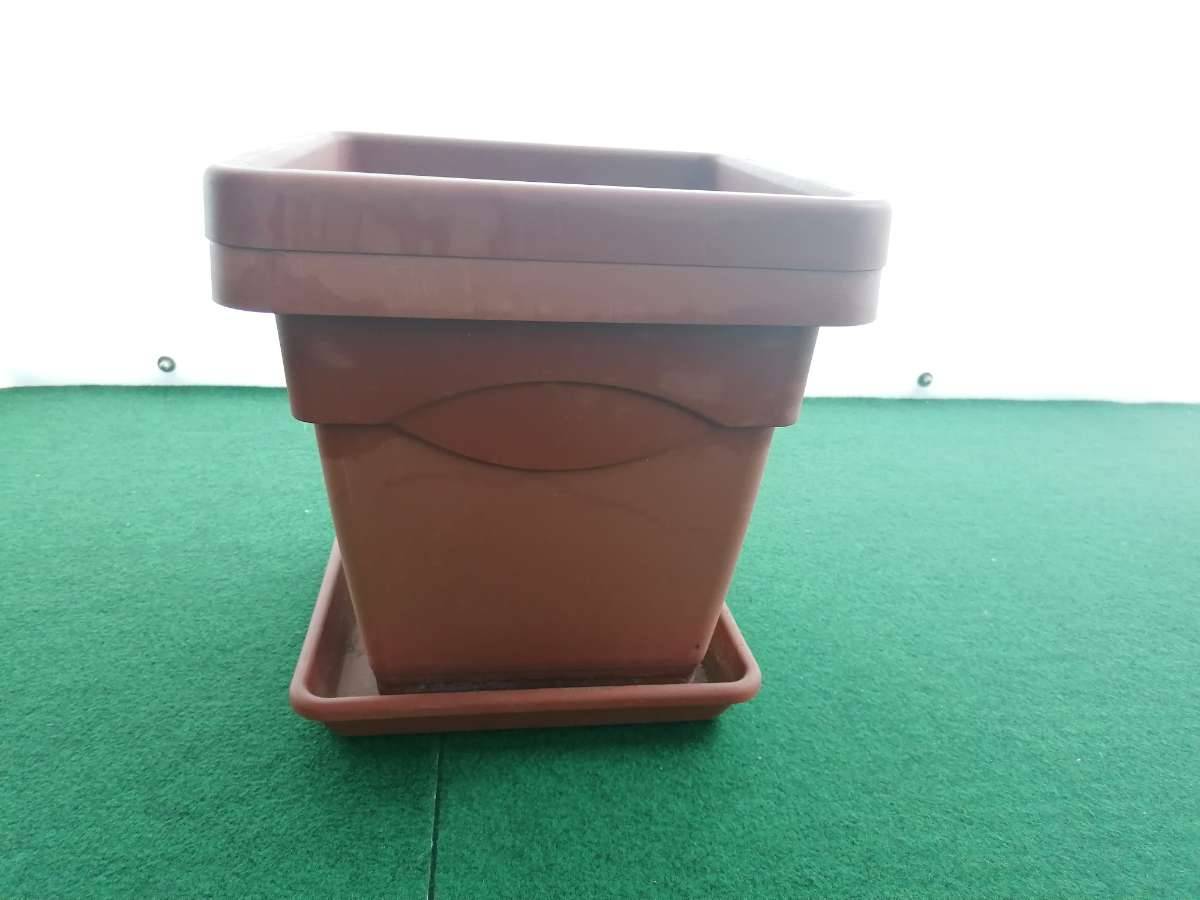 Blumentopf Eckig kaufen - willhaben
