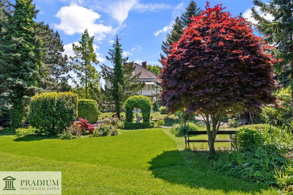 Historische Villa mit Parkgarten am Weinberg - Ansicht 2