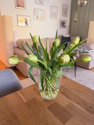 2-Zimmer-Wohnung mieten in Graz – 49 m², € 776 – Bild 16 von 22