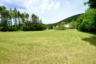 Grundstück kaufen in Wiener Neustadt Land – 2 772 m², € 409.000 – Bild 5 von 12