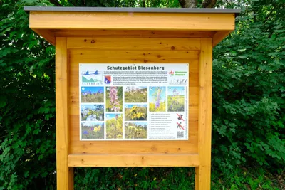 Grundstück kaufen in Wiener Neustadt Land – 2 772 m², € 409.000 – Bild 9 von 12