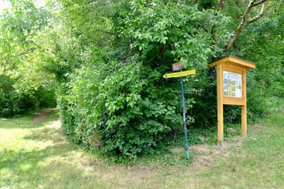 Grundstück kaufen in Wiener Neustadt Land – 2 772 m², € 409.000 – Bild 8 von 12