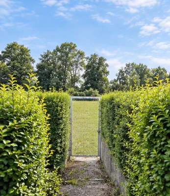 4-Zimmer-Haus kaufen in Melk – 75 m², € 265.000 – Bild 5 von 21