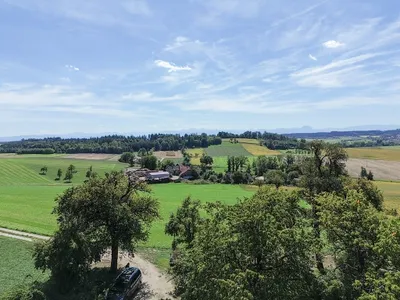 6-Zimmer-Haus kaufen in Wels-Land – 231 m², € 995.000 – Bild 7 von 31