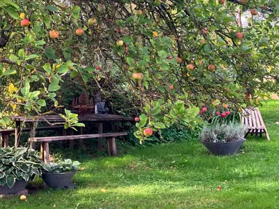 6-Zimmer-Haus kaufen in Wels-Land – 231 m², € 995.000 – Bild 25 von 31