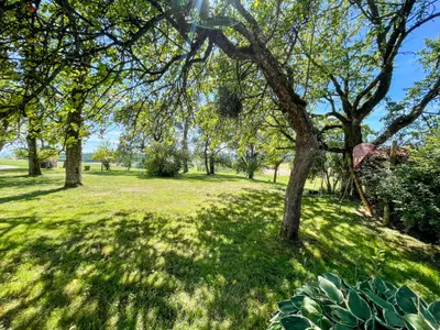 6-Zimmer-Haus kaufen in Wels-Land – 231 m², € 995.000 – Bild 4 von 31