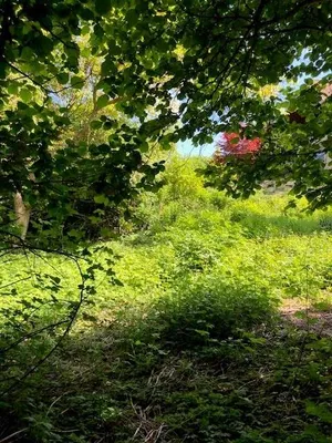 Grundstück kaufen in Mödling – 895 m², € 329.000 – Bild 10 von 13