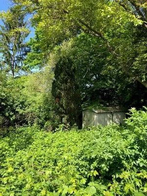 Grundstück kaufen in Mödling – 895 m², € 329.000 – Bild 8 von 13