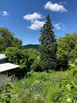 Grundstück kaufen in Mödling – 895 m², € 329.000 – Bild 3 von 13