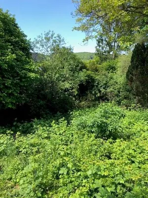 Grundstück kaufen in Mödling – 895 m², € 329.000 – Bild 11 von 13