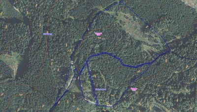 Grundstück kaufen in Sankt Veit an der Glan – 84 853 m² – Bild 3 von 3