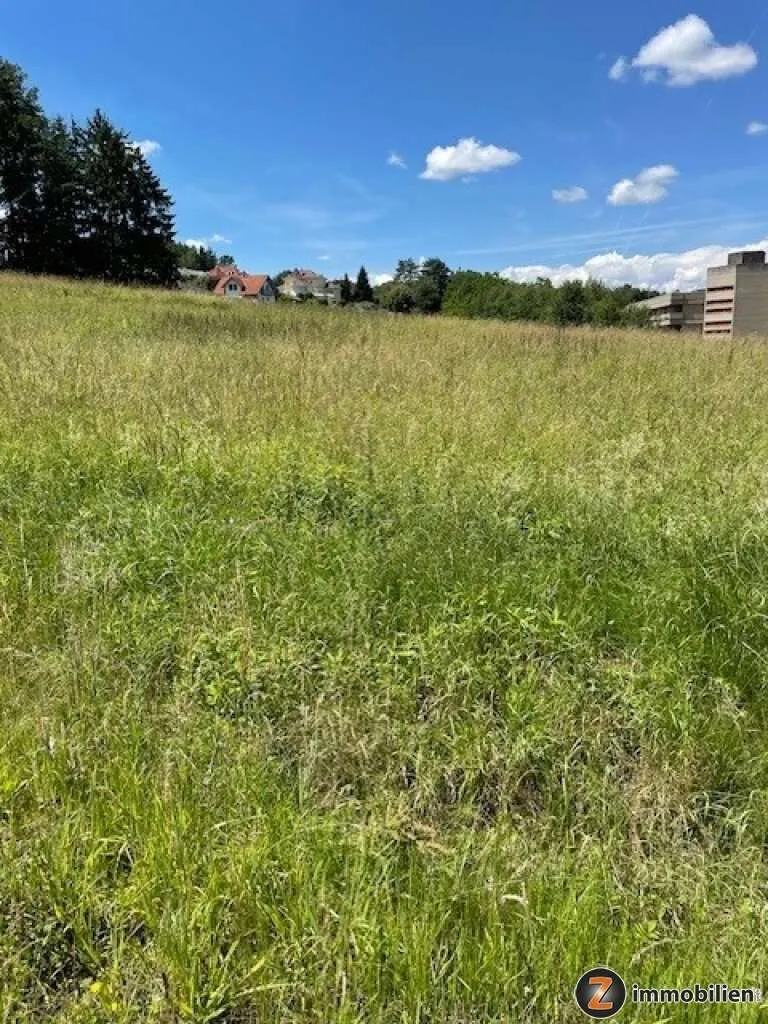 Oberwart: Baugrund in erhöhter Waldrandlage! – pohled 2