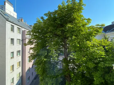 2-Zimmer-Wohnung mieten in Wien – 65 m², € 1.280 – Bild 4 von 9