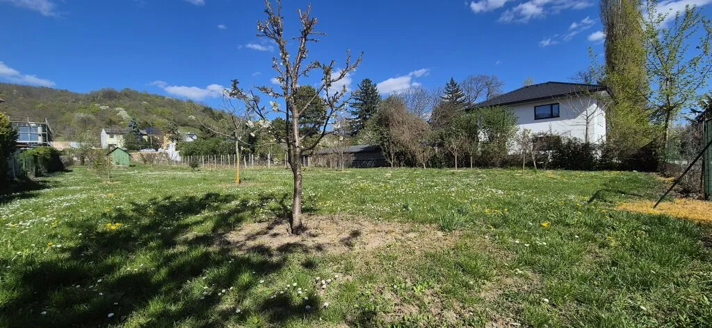 Villenbaugrund (1.335m²) in ruhiger Langenzersdorfer Siedlungslage - Widok 3