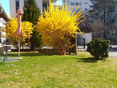 2-Zimmer-Wohnung mieten in Graz – 76 m², € 992 – Bild 11 von 11