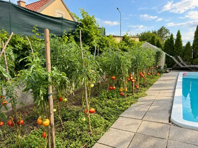 Grundstück kaufen in Baden – 442 m², € 170.000 – Bild 3 von 11