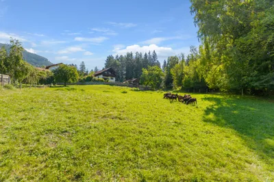 Grundstück kaufen in Spittal an der Drau – 1 827 m², € 296.000 – Bild 5 von 10