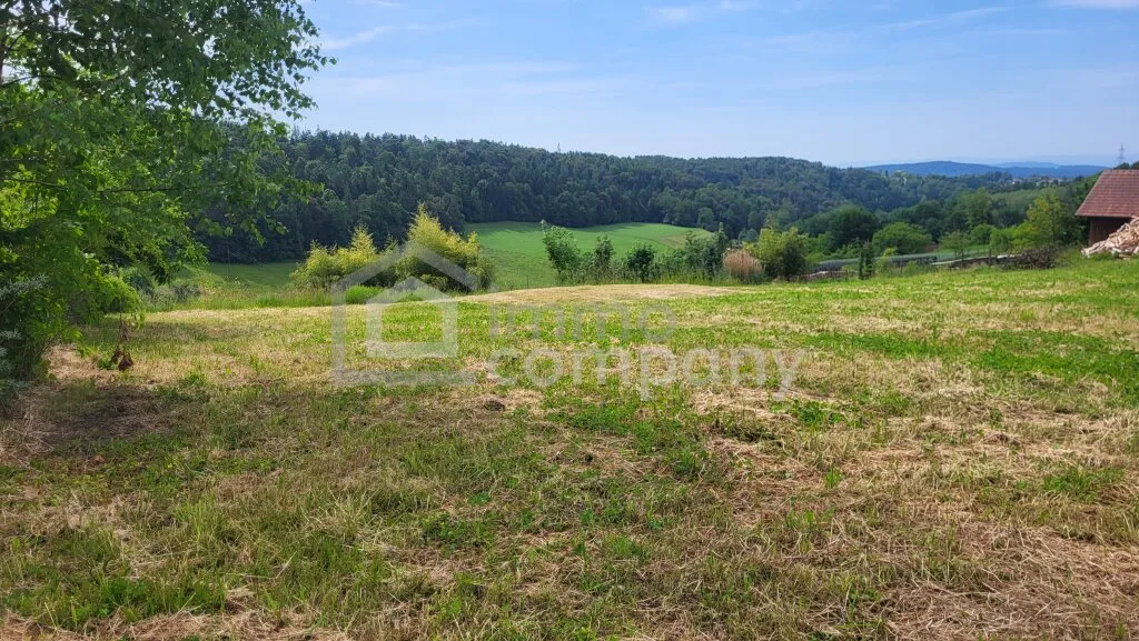 Wohnen mit Ausblick - attraktiver Baugrund nahe Graz - Ansicht 2