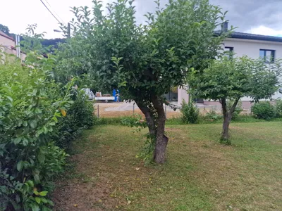 Grundstück kaufen in Graz – 533 m², € 330.000 – Bild 1 von 14