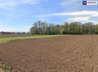 Immobilie kaufen in Leibnitz – 9 787 m², € 1.099.000 – Bild 2 von 7