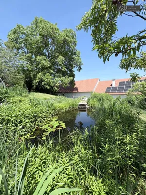 9-Zimmer-Haus kaufen in Jennersdorf – 290 m², € 439.000 – Bild 29 von 34