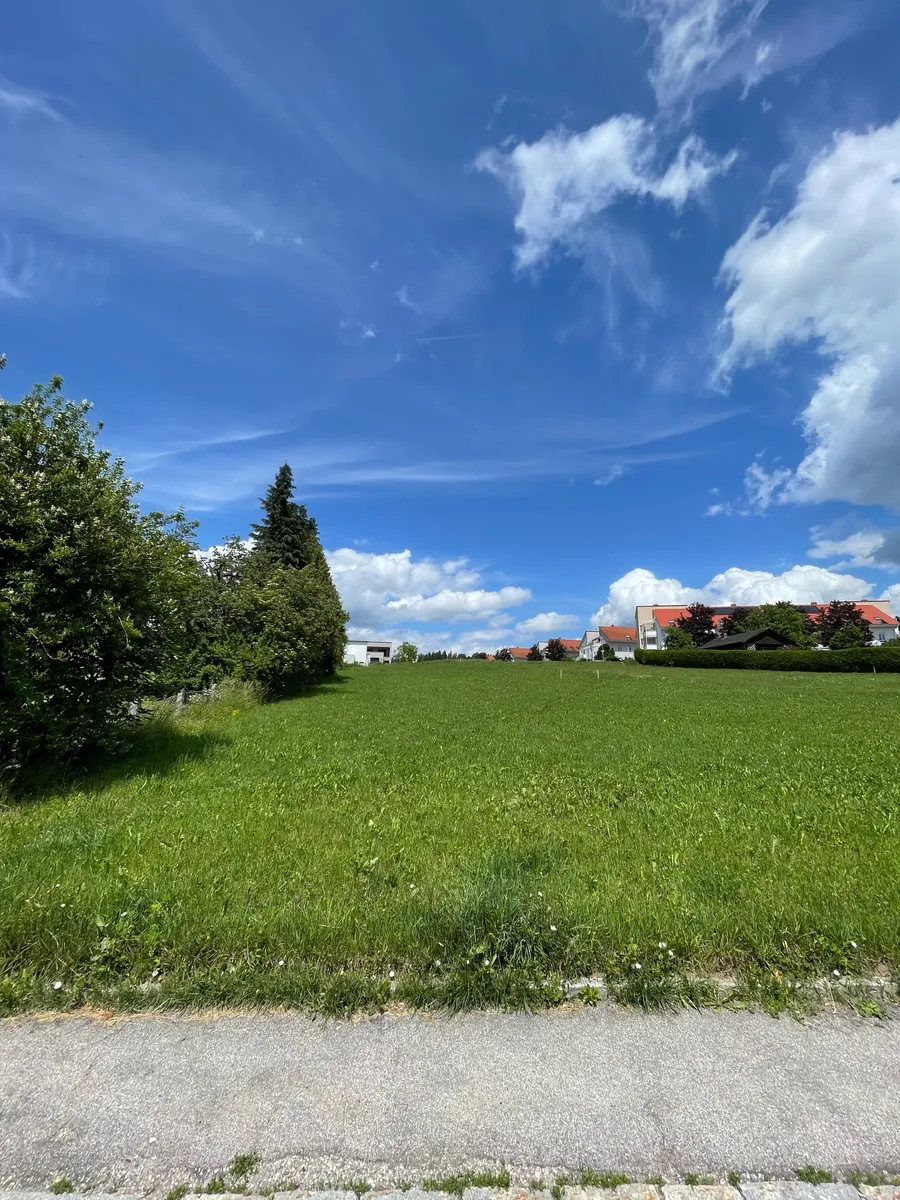 Baugrundstück in Top-Lage in Rohrbach-Berg - 978 m², südlich ausgerichtet & erschlossen - Ansicht 2