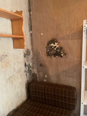 Haus kaufen in Mistelbach – 60 m², € 59.000 – Bild 26 von 42