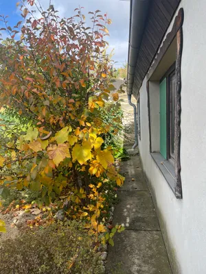 Haus kaufen in Mistelbach – 60 m², € 59.000 – Bild 42 von 42