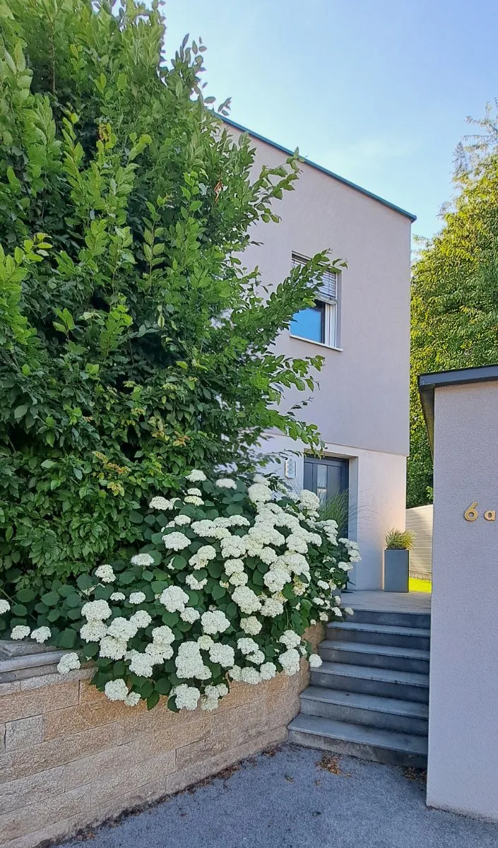 Haus – Hörsching, Feuersteinsiedlung, Neubau - Ansicht 2