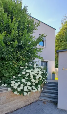 4-Zimmer-Haus kaufen in Linz Land – 110 m², € 695.000 – Bild 5 von 33