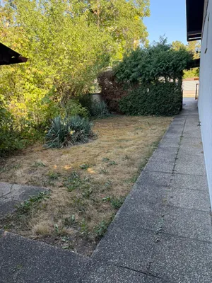 2-Zimmer-Haus mieten in Wiener Neustadt Land – 90 m², € 1.100 – Bild 4 von 28