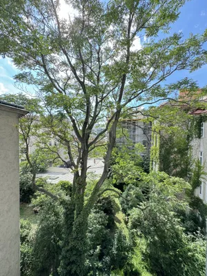 Wohnung kaufen in Wien – 100,82 m², € 211.722 – Bild 6 von 12