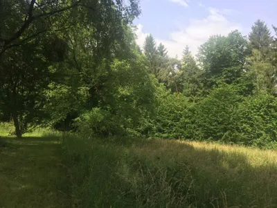 Grundstück kaufen in Graz-Umgebung – 2 310 m², € 218.000 – Bild 2 von 2