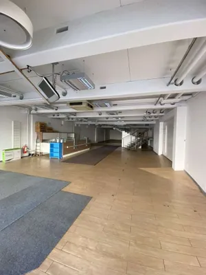 Immobilie kaufen in Ried im Innkreis – 1 400 m², € 1.900.000 – Bild 4 von 30