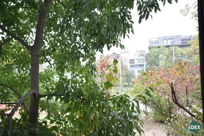 2-Zimmer-Wohnung mieten in Wien – 58 m², € 1.082 – Bild 12 von 17