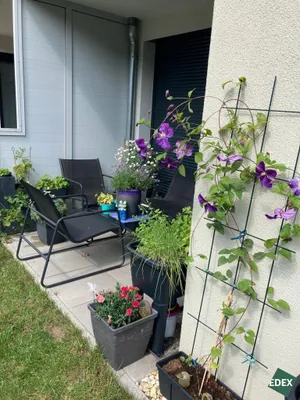 2-Zimmer-Wohnung mieten in Wien – 58 m², € 1.082 – Bild 10 von 17