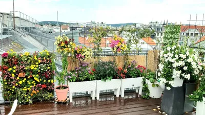 6-Zimmer-Wohnung kaufen in Wien – 145 m², € 1.150.000 – Bild 8 von 14