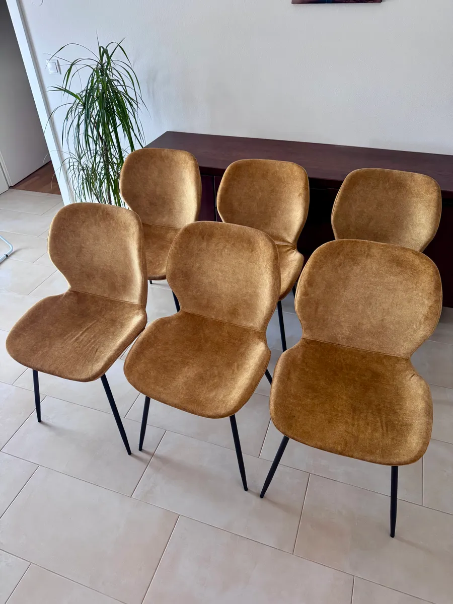 Esszimmerstühle 6 Stück kaufen