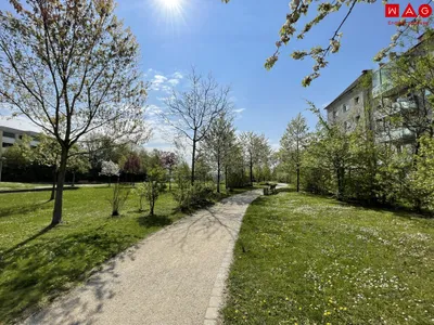 4-Zimmer-Wohnung mieten in Linz – 97,34 m², € 1.562 – Bild 15 von 20