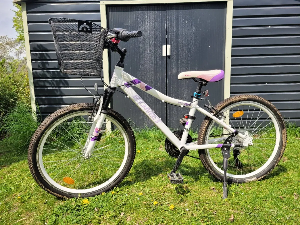aufbewahrung für müsli Spender | Aufbewahrungsbehälter | Vorratsbehälter mit Deckel Varianten:03 BIKEROOMSTOCK BULLS Pulsar Eco 27,5