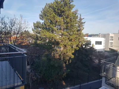3-Zimmer-Wohnung mieten in Wien – 65 m², € 1.315 – Bild 13 von 13