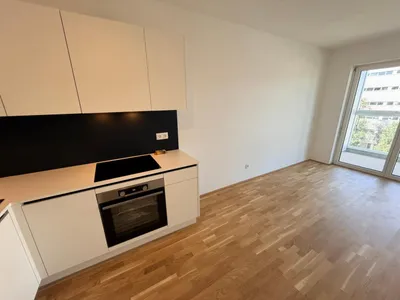 Wohnung zur Miete in 8055 Graz