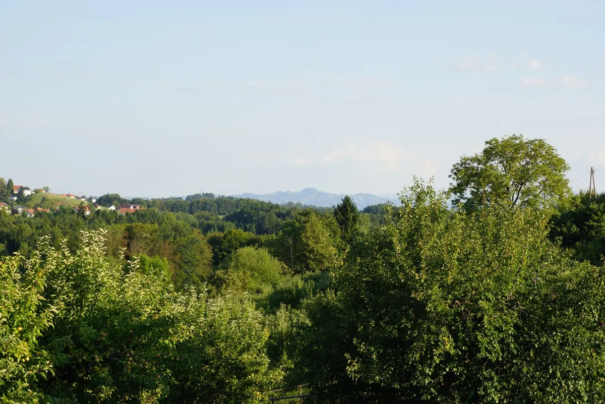 Refugium der Sinne: Wo Weite auf absolute Geborgenheit trifft - Ansicht 2